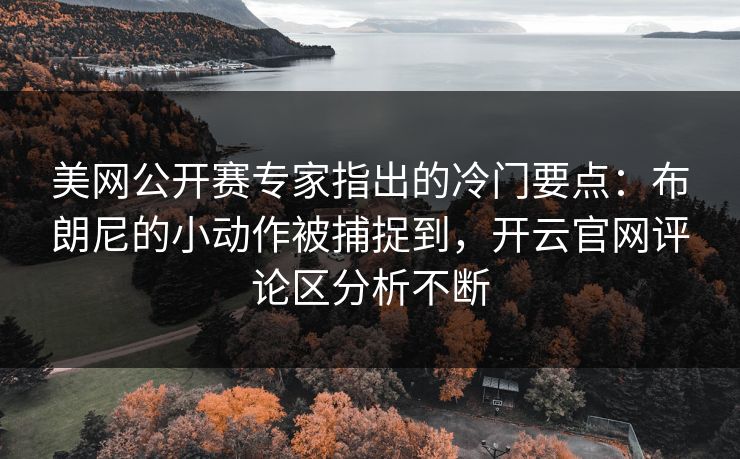 美网公开赛专家指出的冷门要点：布朗尼的小动作被捕捉到，开云官网评论区分析不断