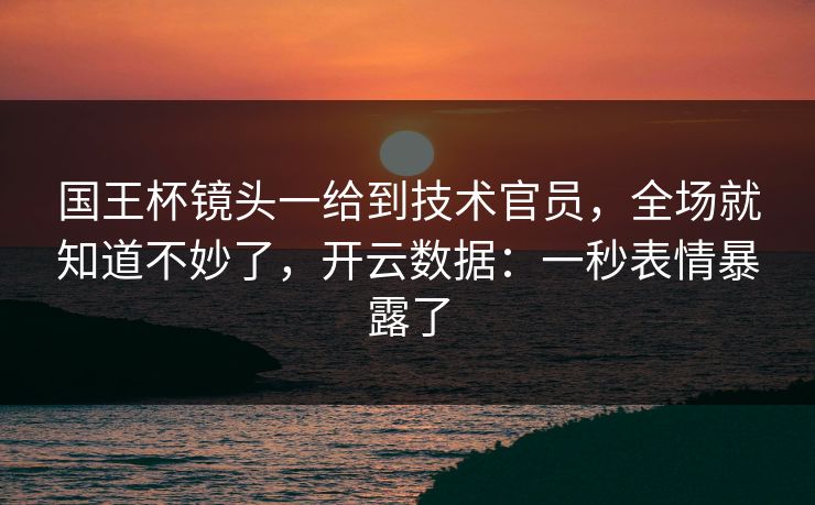 国王杯镜头一给到技术官员，全场就知道不妙了，开云数据：一秒表情暴露了