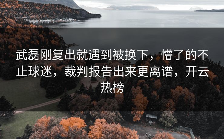 武磊刚复出就遇到被换下，懵了的不止球迷，裁判报告出来更离谱，开云热榜